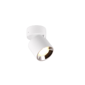 Foco una luz GUAYANA